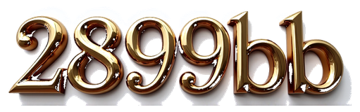 2899bb logo